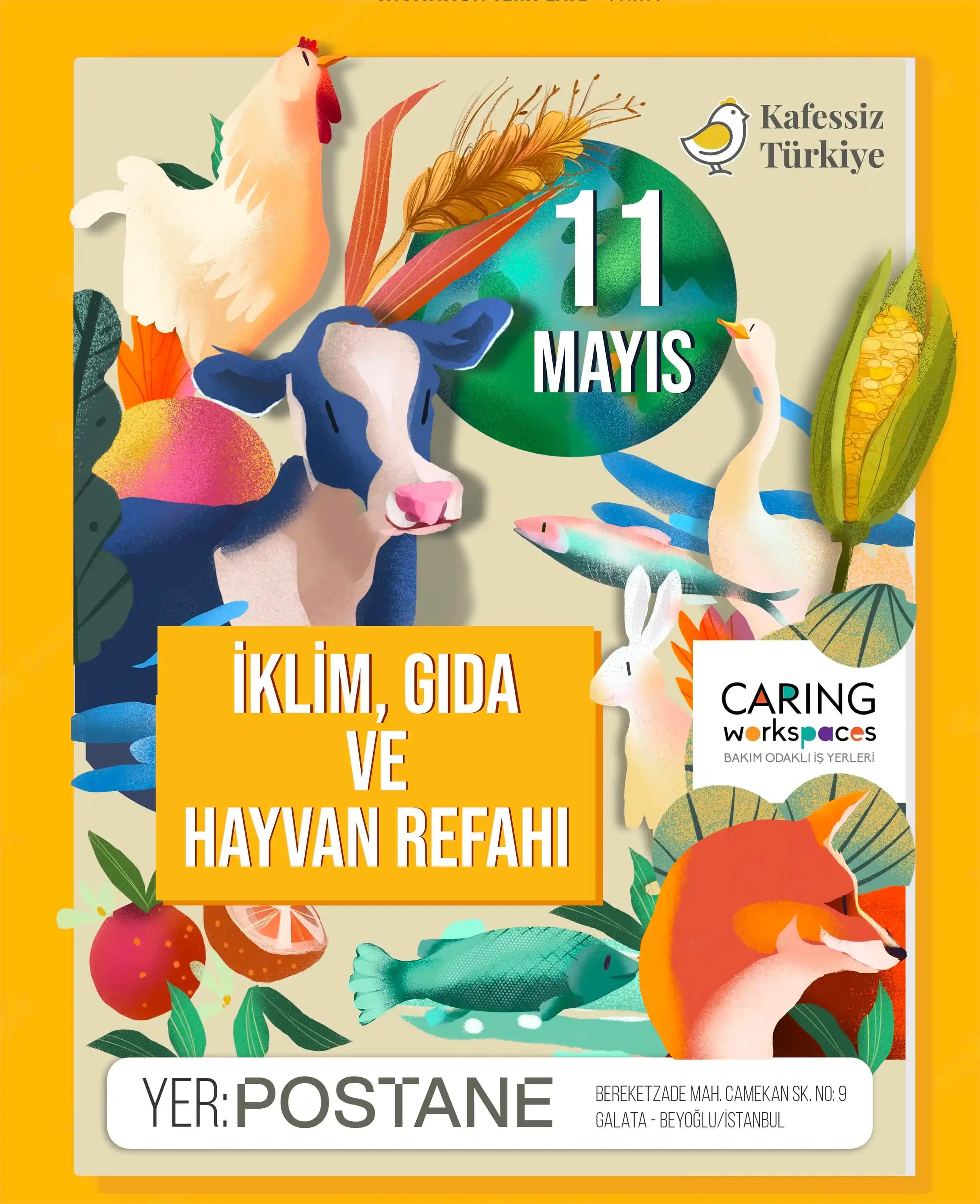 Istakozun Pişirilmeden Önce Öldürülmesinin Etkileri ve İnsanlık Boyutu Üzerine İnceleme