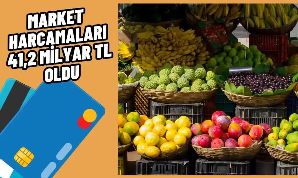 Kiler ve Dondurucu Stoklarıyla Market Harcamalarını Azaltmanın Etkili Yöntemleri