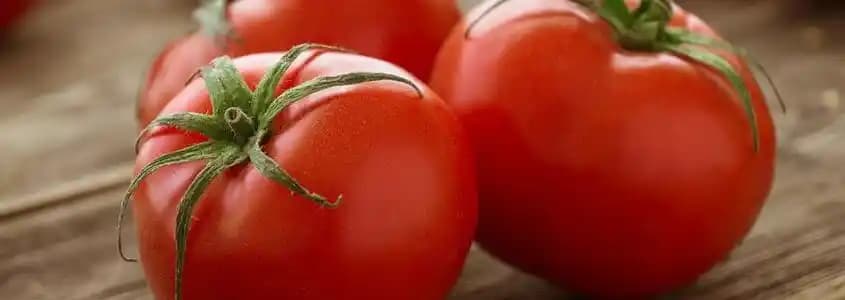 Domatessiz Vejetaryen Akşam Yemekleri: Alternatif Sebzeler ve Pratik Tarifler