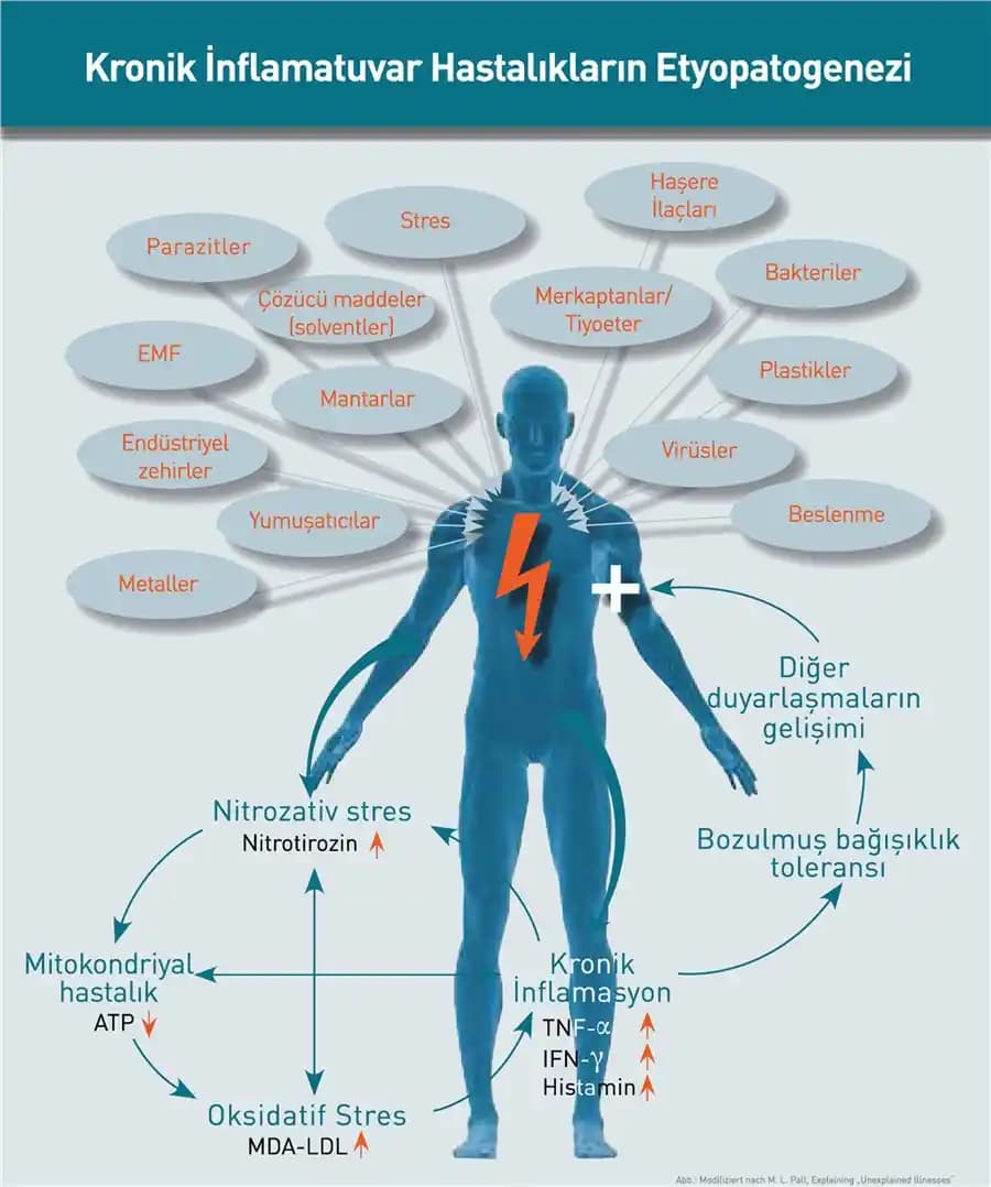 Vücutta İnflamasyonu Azaltmak İçin Beslenme, Takviyeler ve Yaşam Tarzı Önerileri