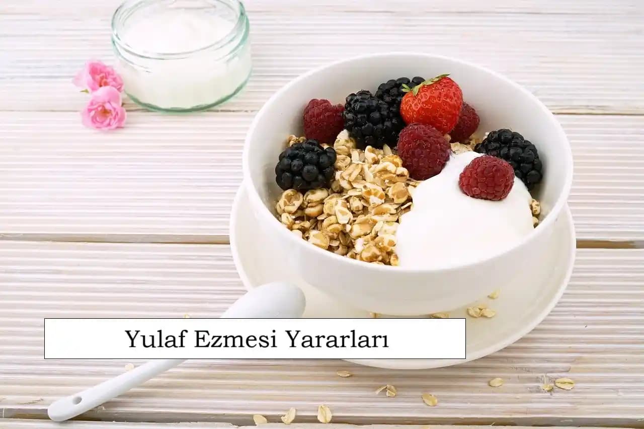 Yulaf Alternatifleri ve Sindirim Sorunlarına Uygun Tahıllar Hakkında Detaylı Bilgi