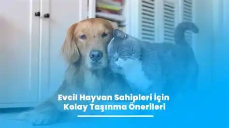 2025 Yılında Costco Üyeliğinin Ekonomik Değeri ve Alışveriş Stratejileri