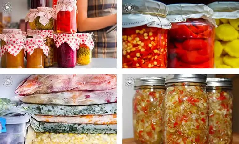 Kış Sebzelerinin Dayanıklılığını Artırmak İçin Etkili Saklama Yöntemleri