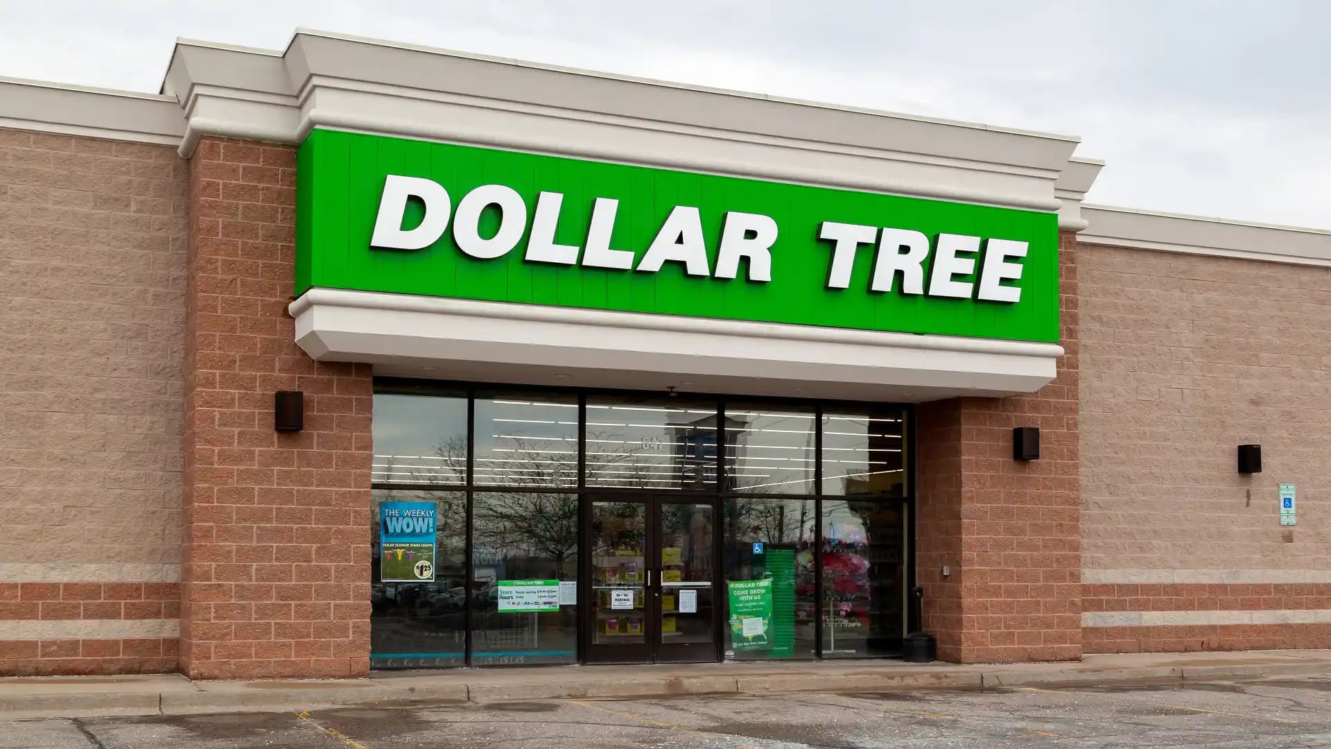 Dollar Tree Gıda Ürünleri: Fiyat, Kalite ve Alternatif Marketlerle Karşılaştırma