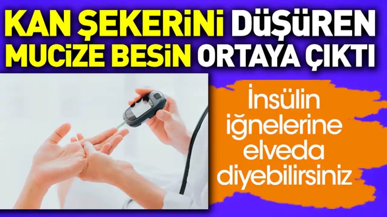 Ekonomik ve Sağlıklı Yemek Dolguları ile Et Alışverişinde Tasarruf Yöntemleri