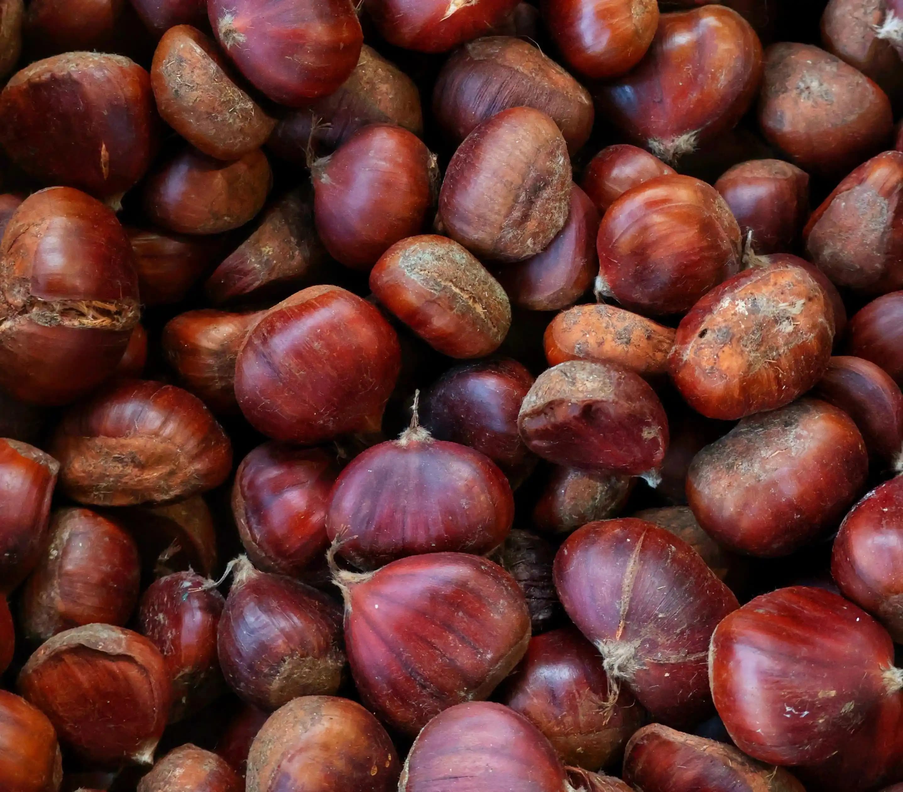 Kestane Pişirme Teknikleri ve Kullanım Alanları: Tatlıdan Tuzluya Kestane Tarifleri