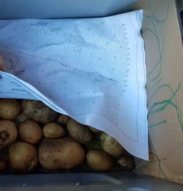 Patates Saklama ve Dondurma Yöntemleri: Uzun Süreli Muhafaza İçin Etkili Teknikler