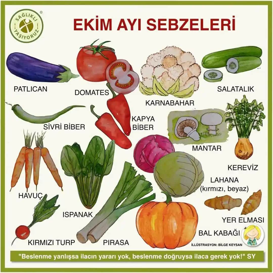 Sebzeleri Sevmeyenler İçin Sağlıklı Beslenme ve Sebze Tüketimini Artırma Yöntemleri