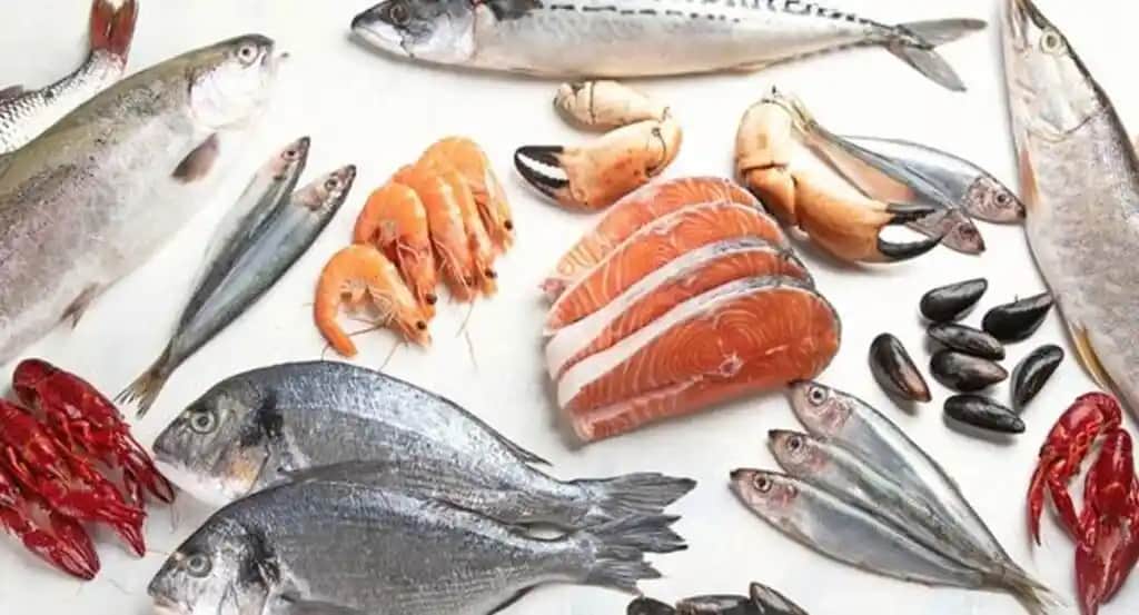 Yerel Deniz Ürünleri Dükkanlarından Ücretsiz Kemik Temini ve Kemik Suyu Yapımı Yöntemleri