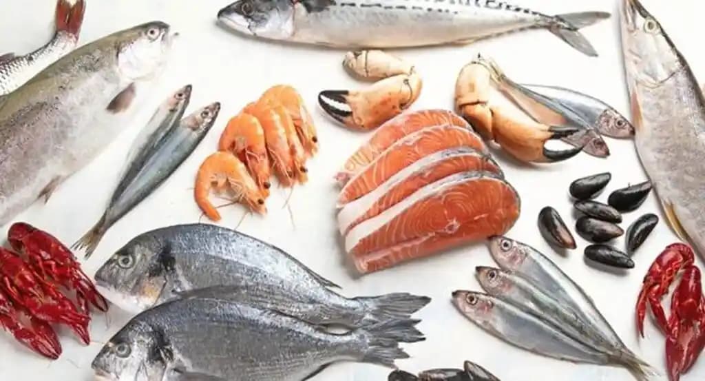 Yerel Deniz Ürünleri Dükkanlarından Ücretsiz Kemik Temini ve Kemik Suyu Yapımı Yöntemleri