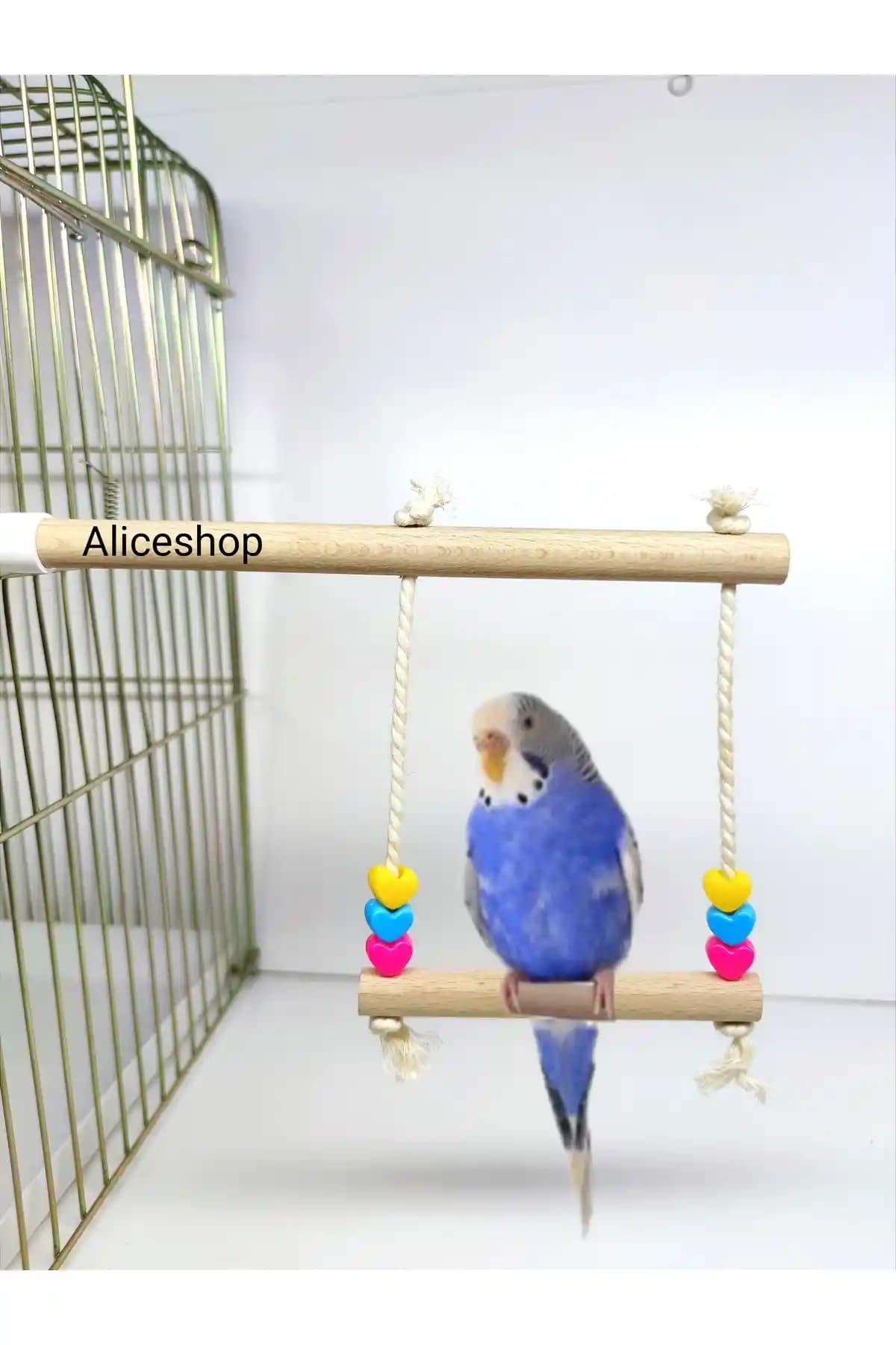 Doğal Ahşap Tünekli Kuş Salıncağı: Muhabbet Kuşları İçin Konforlu Oyun ve Dinlenme Alanı