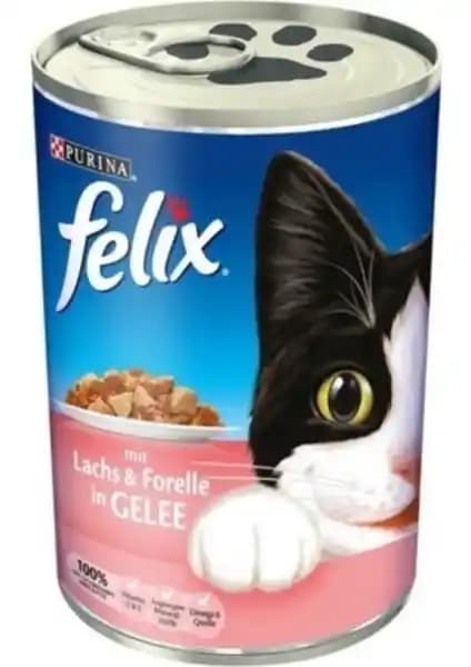 Felix Somon ve Alabalıklı Kedi Konservesi: Sağlıklı ve Lezzetli Beslenme Seçeneği