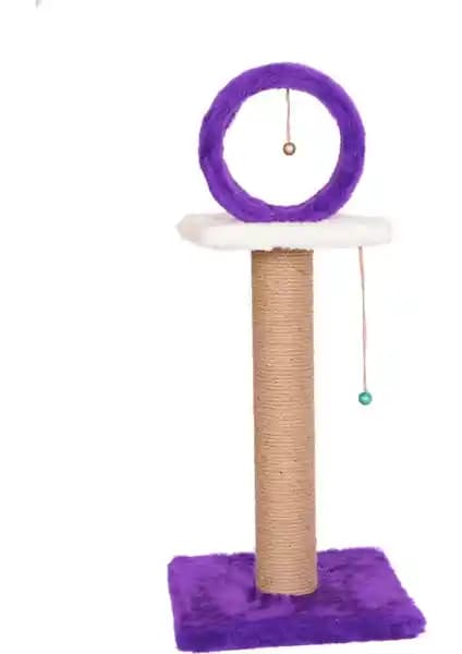 Kedi Evi ve Tırmalama Ürünleri Karşılaştırması: En İyi Seçenekler ve Özellikler