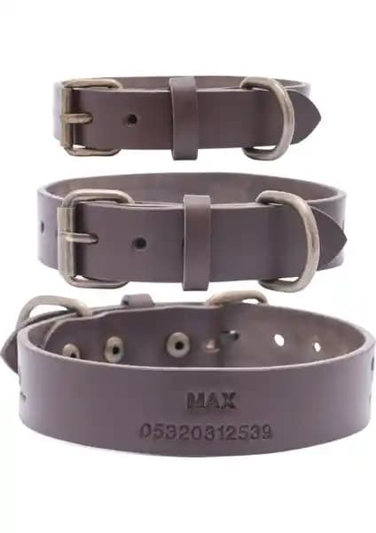 Kişiye Özel Deri Köpek Tasması ve Yüksek Dokulu Tasma Market Ürünleri Karşılaştırması