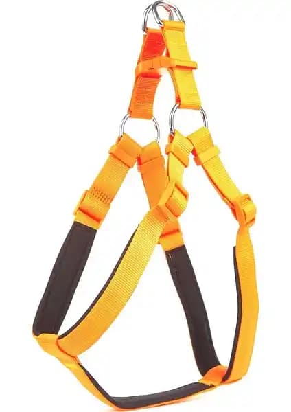 Köpek Göğüs Tasması Seçiminde Dikkat Edilmesi Gerekenler ve Karşılaştırma