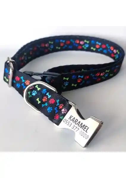 Köpek Tasma Seçiminde Dikkat Edilmesi Gerekenler ve Popüler Ürünlerin Karşılaştırması