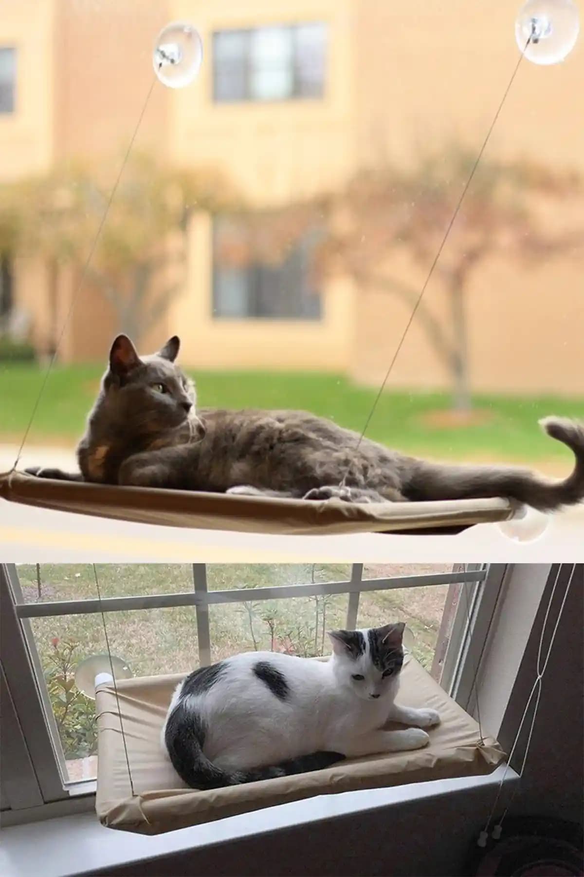 MUJGAN Cama Yapışan Kedi Yatağı: Modern ve Pratik Cam Yüzey Uygulamasıyla Konfor Sağlar