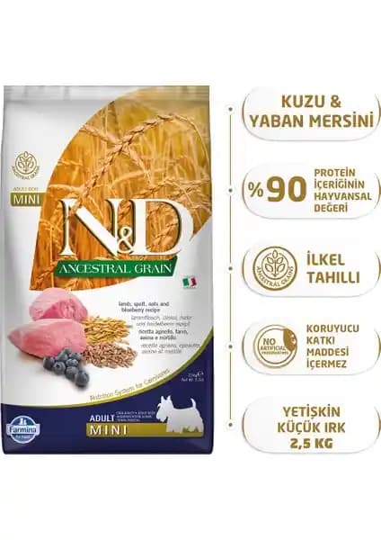 N&D Kuzu Etli Yaban Mersini Düşük Tahıllı Köpek Maması 2,5 Kg ile Sağlıklı ve Enerjik Köpekler