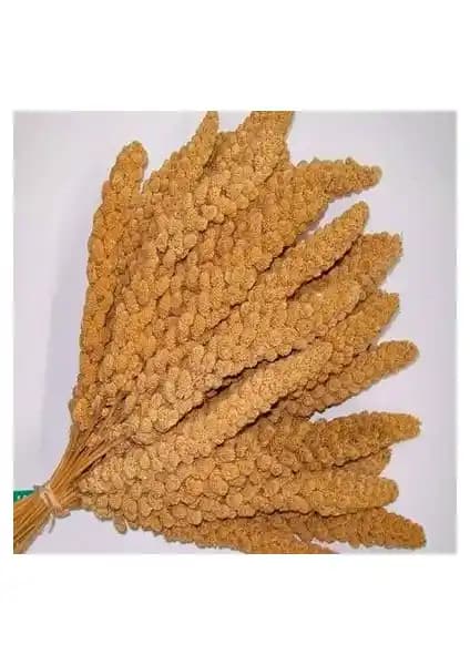 Özlem Sarı Dal Darı 1 Kg Doğal ve Besleyici Tahıl Seçeneği