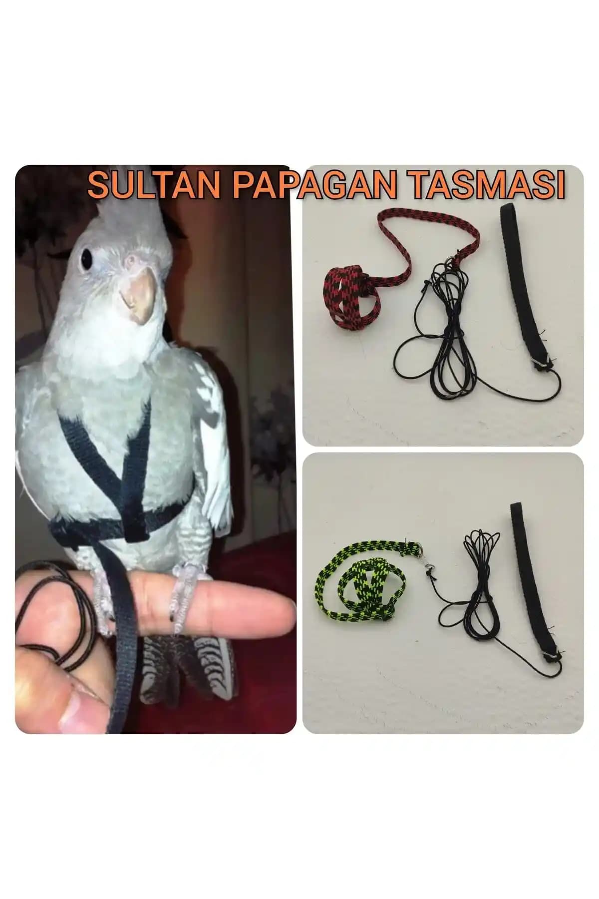 Ozzipetshop Sultan Papağanı Tasması Güvenli ve Konforlu Kullanım İçin Tasarlandı