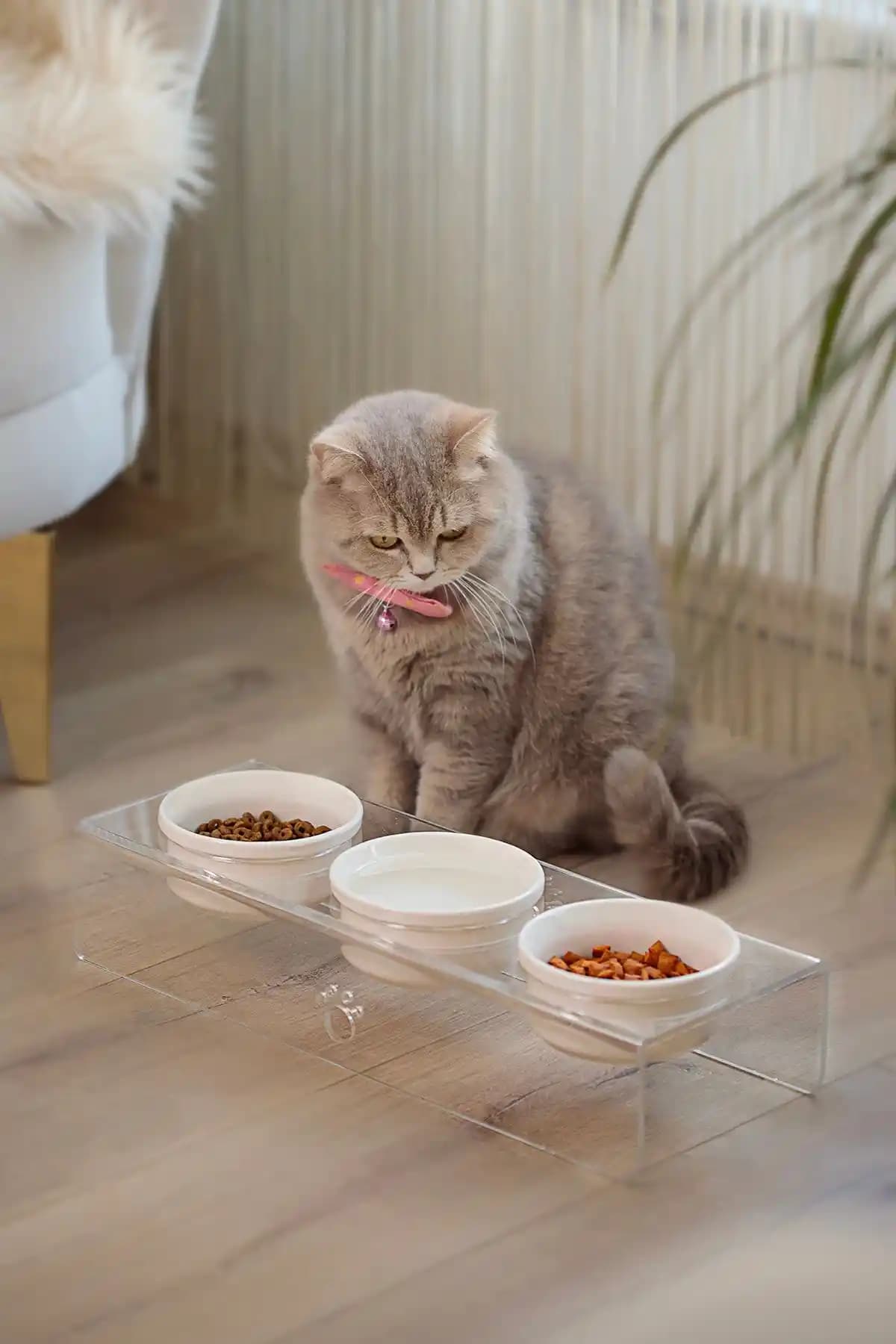 Relaxco Dekorasyon ve Evcil Hayvan Mobilyaları İçin Şık ve Fonksiyonel Seramik Mama ve Su Kabı