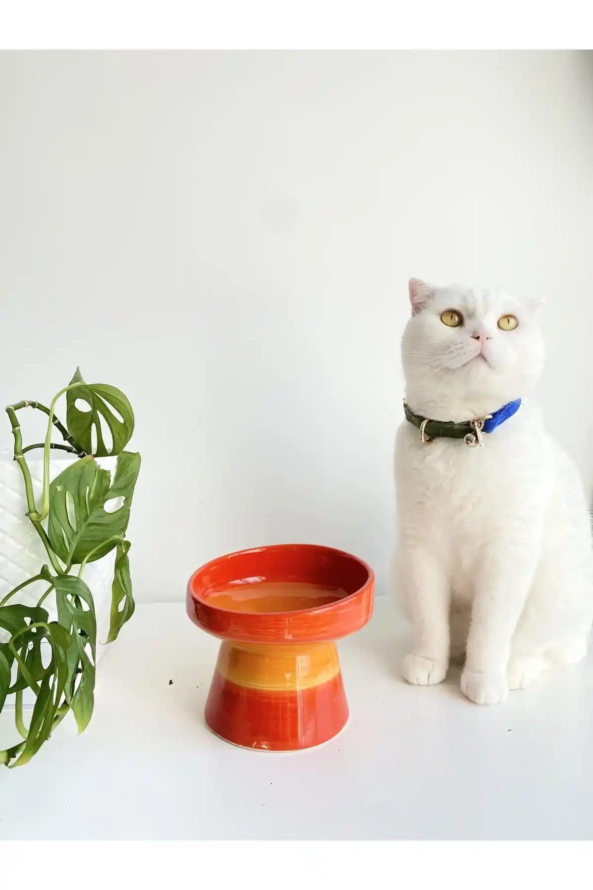 Stilinbu Seramik Kedi ve Köpek Mama ve Su Kabı Turuncu Renkli Sağlıklı ve Estetik Tasarım