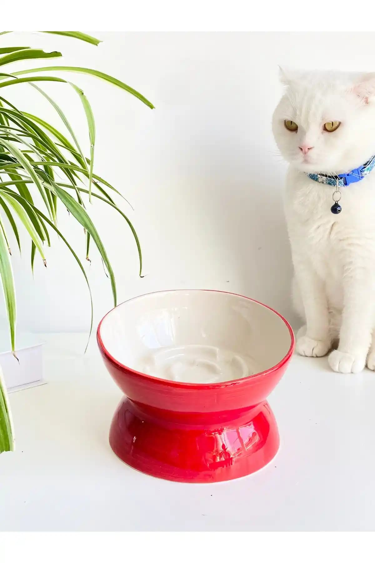 Stilinbu Seramik Yavaş Yeme Mama Kabı Kırmızı Sağlıklı ve Estetik Tasarım