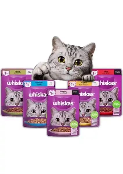 Whiskas Super Karışık Mega Paket Kedi Maması: Çeşitli Tatlar ve Sağlıklı Seçenekler