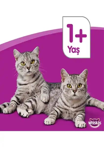 Whiskas Tastymix Kuzulu Tavuklu ve Havuçlu Kedi Konservesi 28 Paketle Sağlıklı Beslenme