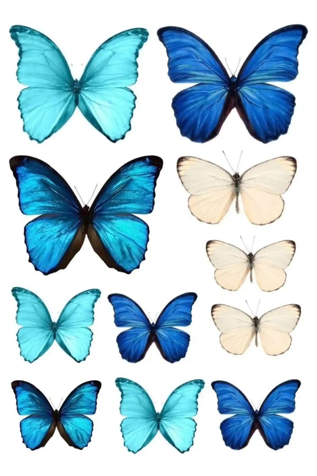 Yenilebilir Kağıt Wafer Paper ile Yaratıcı ve Estetik Pasta Dekorasyonu Seçenekleri