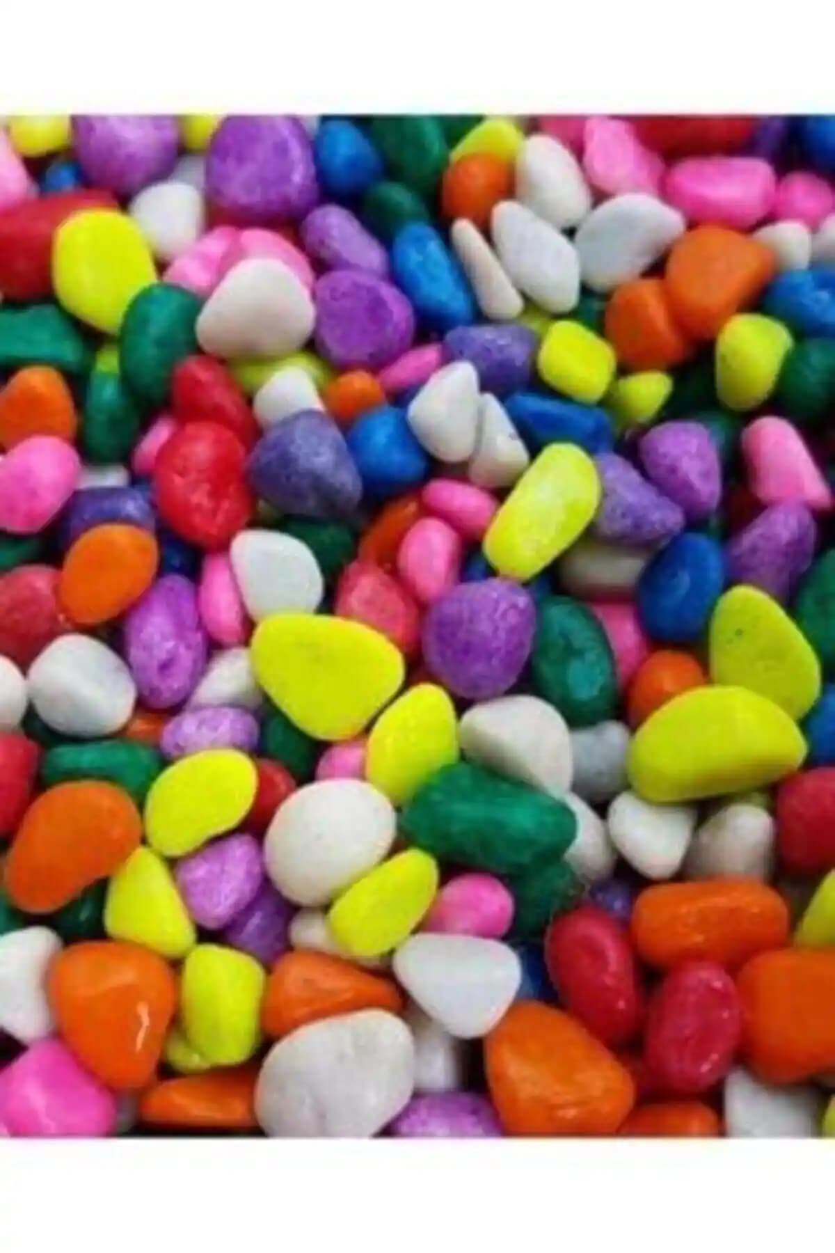 Akvaryum ve Teraryum Dekorasyonunda Renkli Çakıl Taşı ve Fanus Karşılaştırması