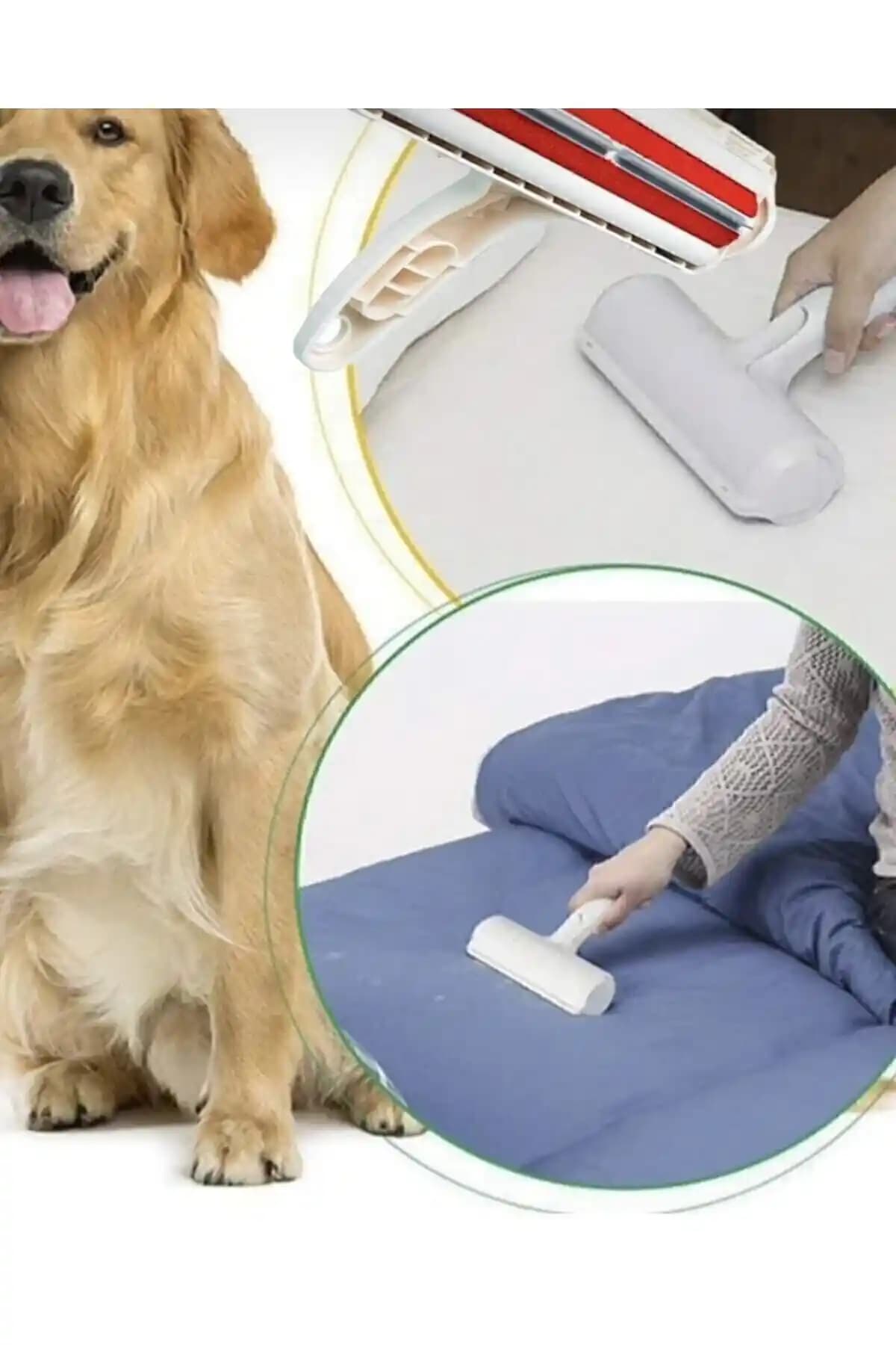 Evcil Hayvan Tüyü Temizleme Ürünleri Karşılaştırması: Gırgır ve Reidan Alternatifleri