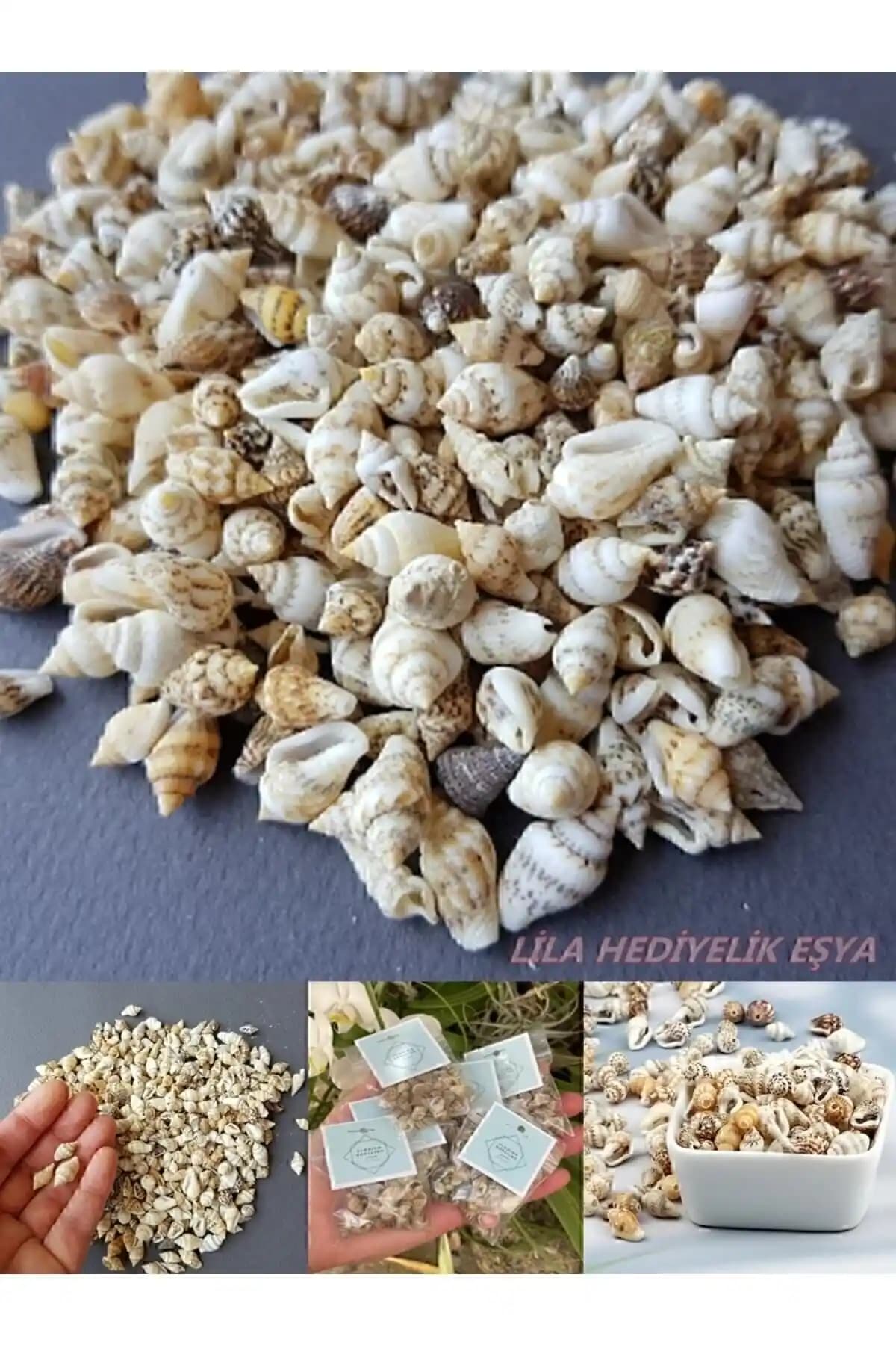 İki Farklı Doğal Deniz Kabuğu Ürününün Karşılaştırması ve Kullanım Alanları