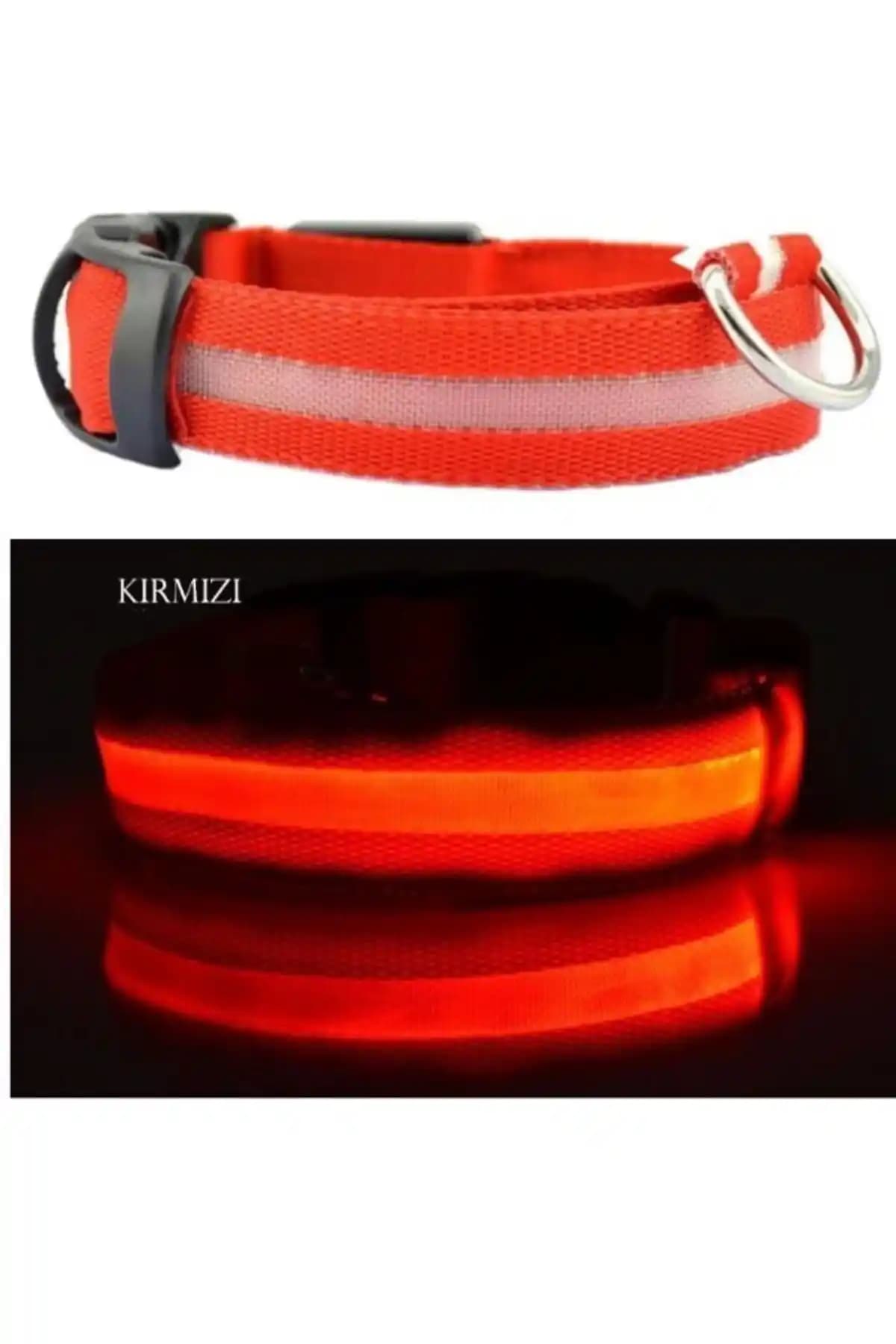 Köpek ve Kedi İçin LED Işıklı Boyun Tasması Karşılaştırması ve Güvenlik İpuçları