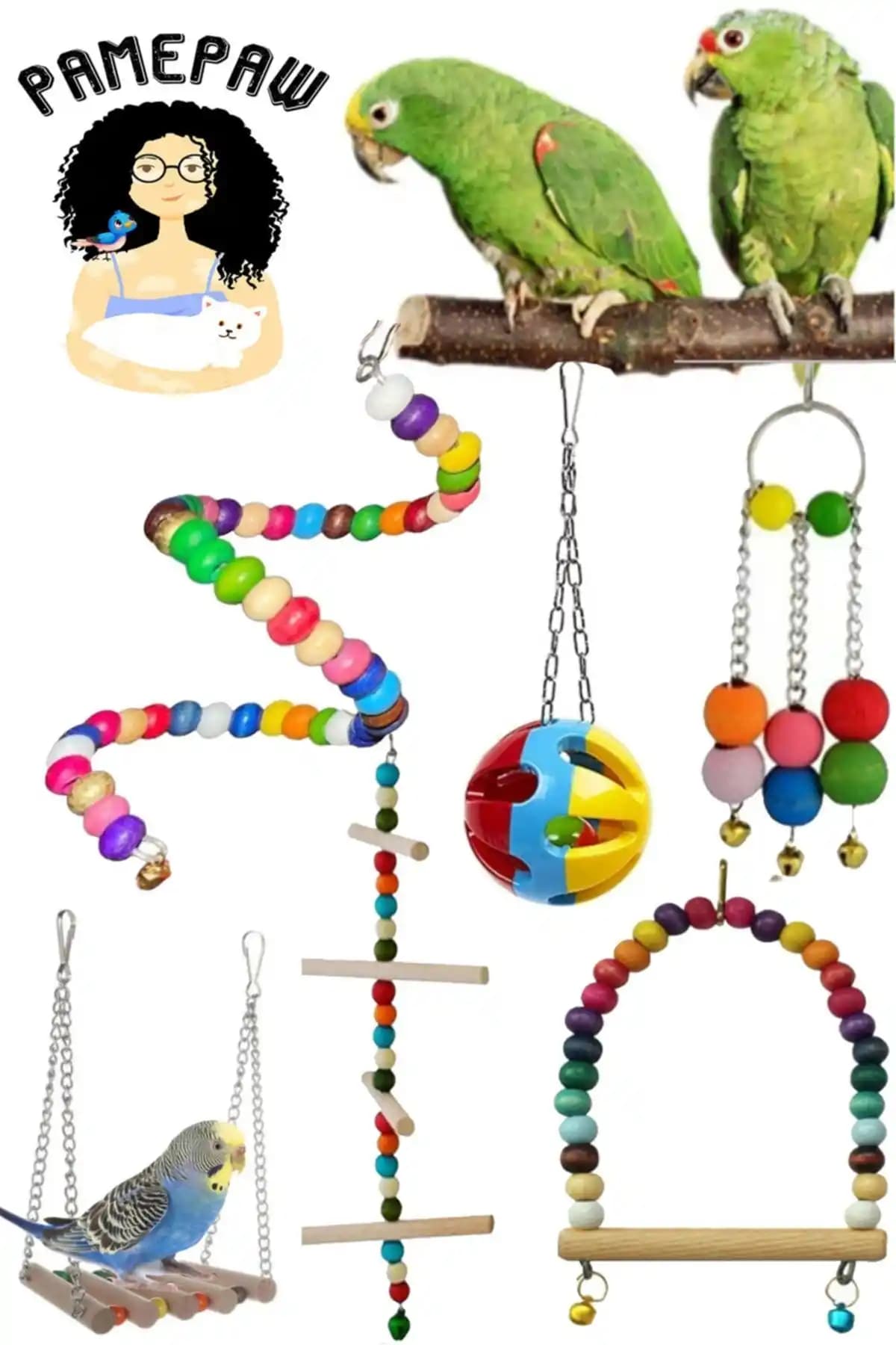 Muhabbet Kuşları İçin En İyi Oyuncak Setleri: PAMEPAW ve SAKAPET Karşılaştırması