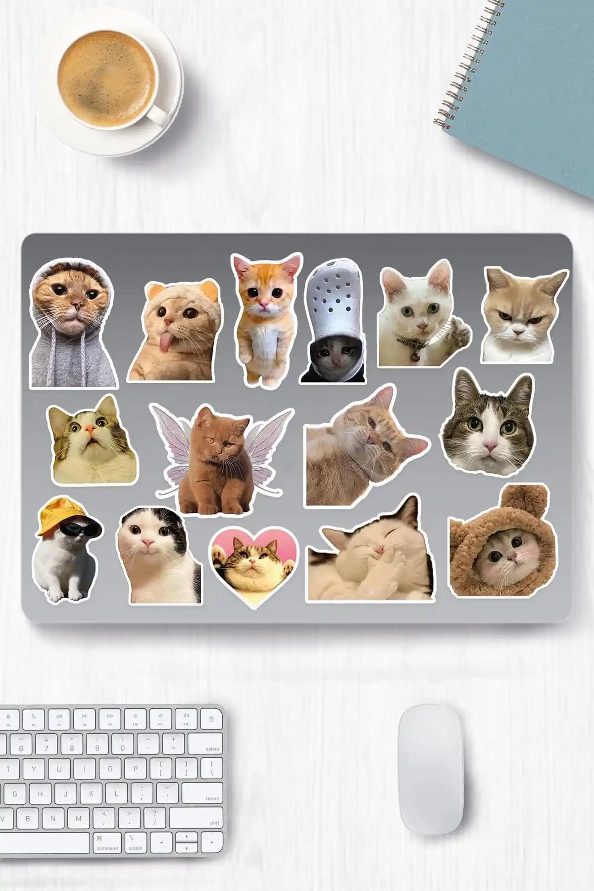 Kedi Temalı Sticker Seti: Dayanıklı ve Estetik Dekorasyon Çözümü