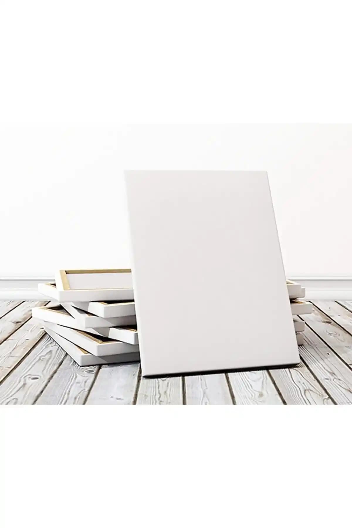 Lona Profesyonel Tuval 50x70 cm: Yüksek Kalite ve Dayanıklılık Sunan Sanat Malzemesi