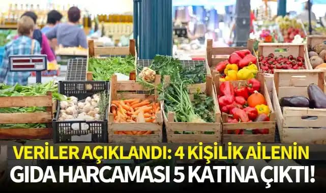 5 Kişilik Aile İçin Aylık 300 Dolar Bütçeyle Dengeli Gıda Planı ve Alışveriş Listesi