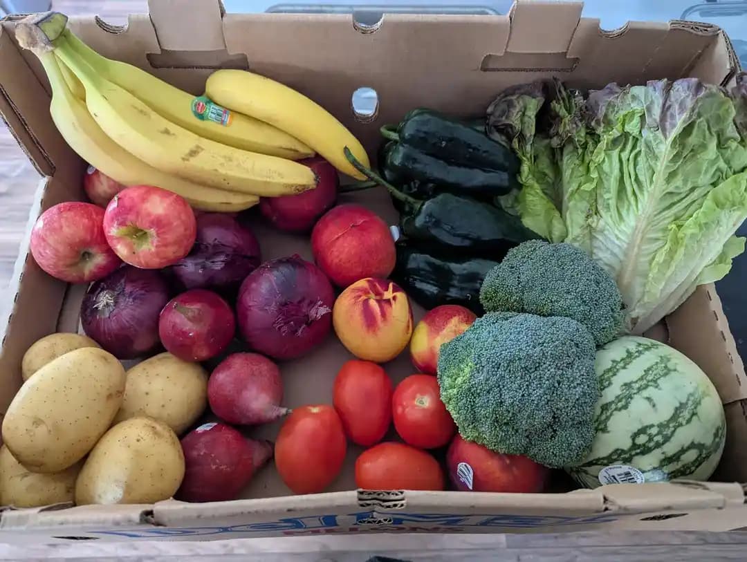 Akıllı Yemek Planlama ve Alışverişle Tek Kişilik Hanelerde Aylık 100 Dolar Tasarruf Yöntemleri