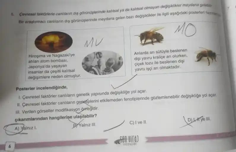 Bayat Cips, Kraker ve Atıştırmalıkların Tazeliğini Geri Kazanma Yöntemleri