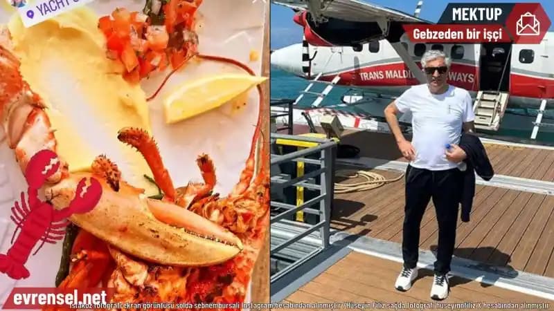 Scampi Teriminin Anlamı ve Tavukla Kullanımının Bölgesel Farklılıkları