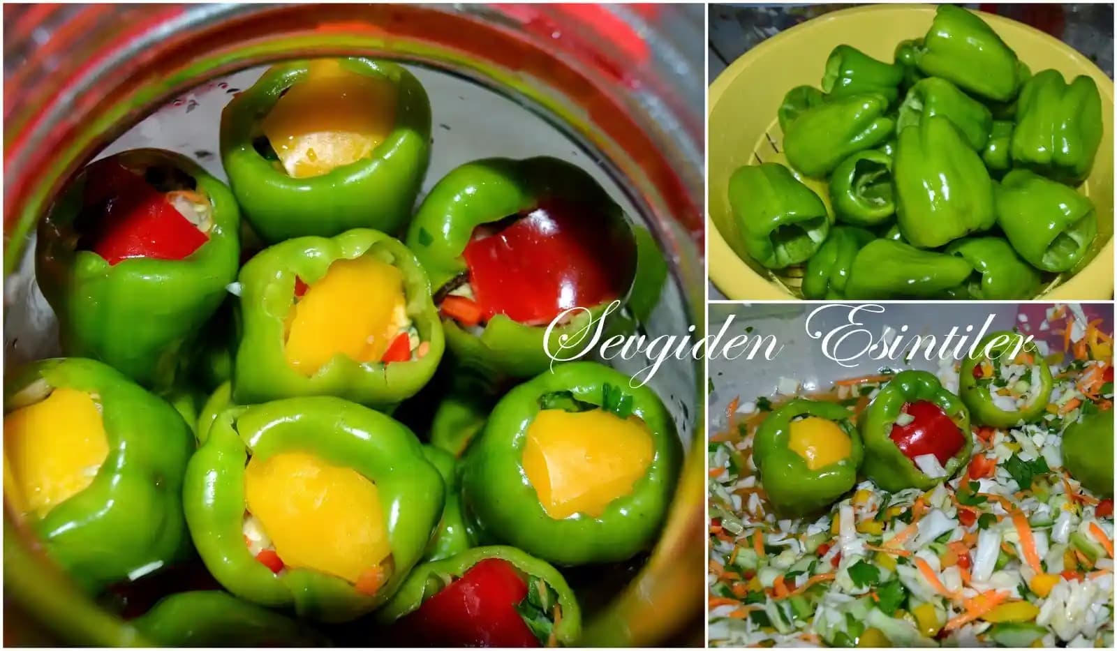 Dolmalık Biberlerin Atılan Kısımlarının Değerlendirilmesi ve Kullanım Alanları