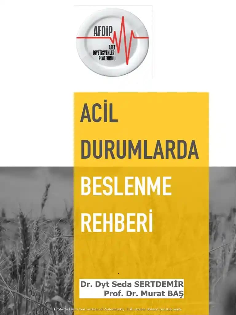 Ekonomik Kısıtlamalarda Yaratıcı Zorluk Yemekleri ve Beslenme Stratejileri