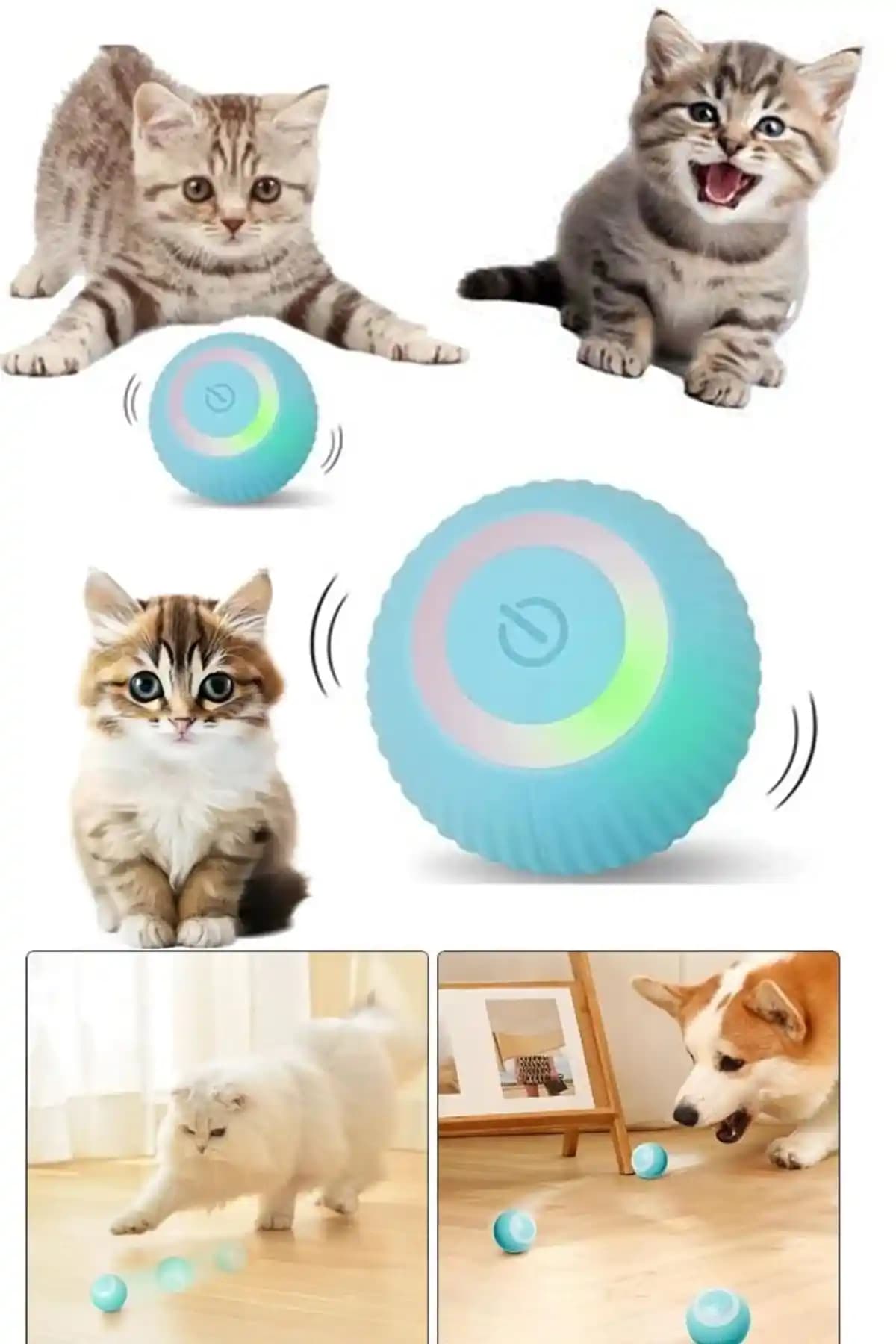 Genel Markalar Hareketli Işıklı Titreşimli Şarjlı Kedi ve Köpek Oyuncağı Ürün İncelemesi