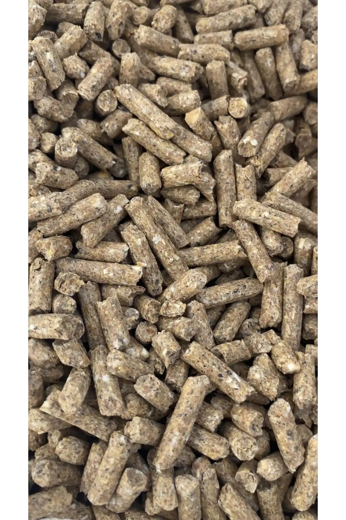 Güven Yem Kemirgen Yemi 1 Kg Sağlıklı ve Lezzetli Beslenme Seçeneği