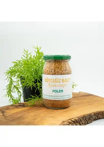 Köyceğiz Balı Arı Poleni ve Sandal Balı Karşılaştırması Sağlık ve Lezzet Açısından Değerlendirme