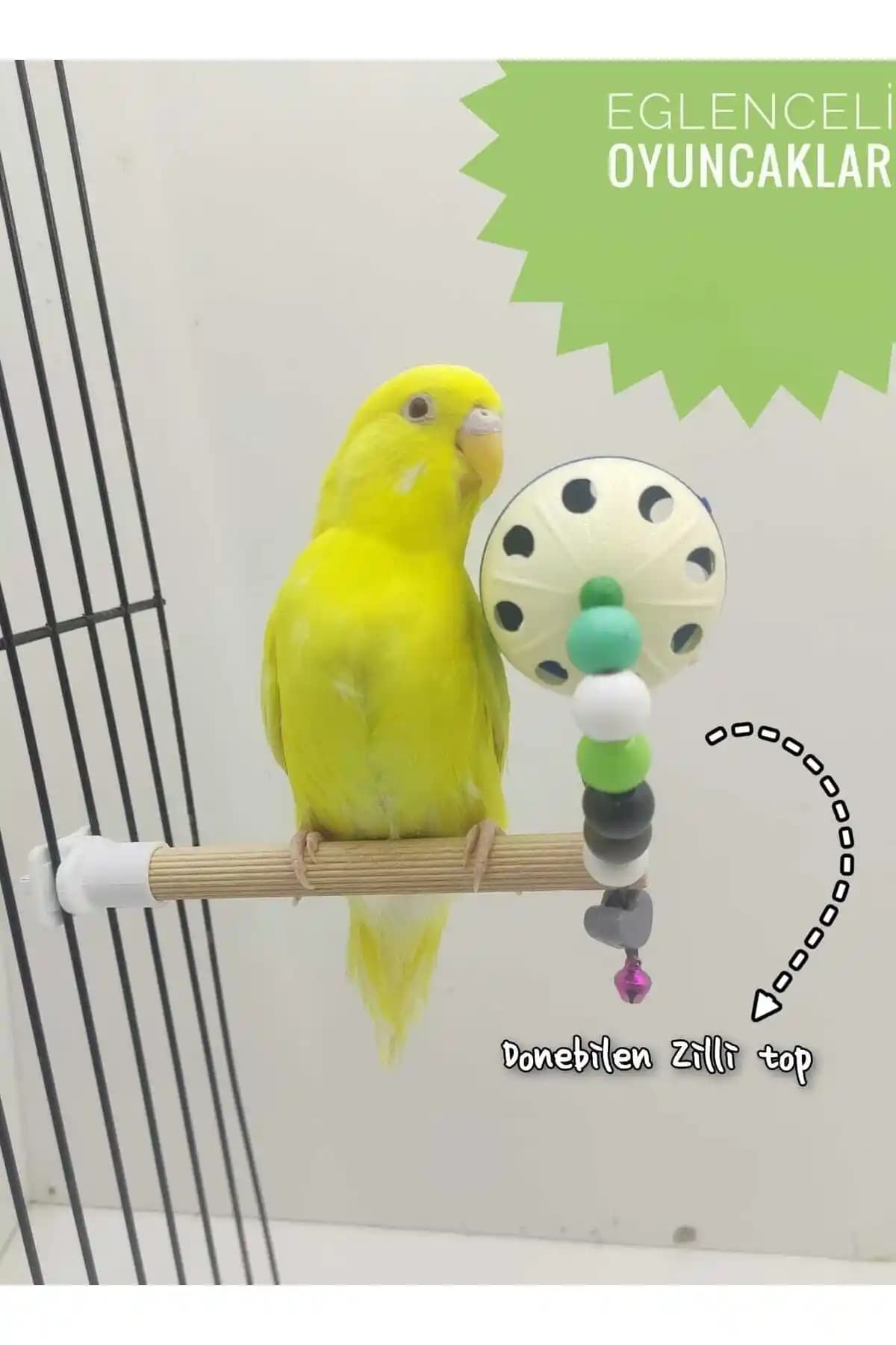 Kuşlar İçin Güvenli ve Eğlenceli Zilli Top Oyuncakları Fiyat ve Özellikler