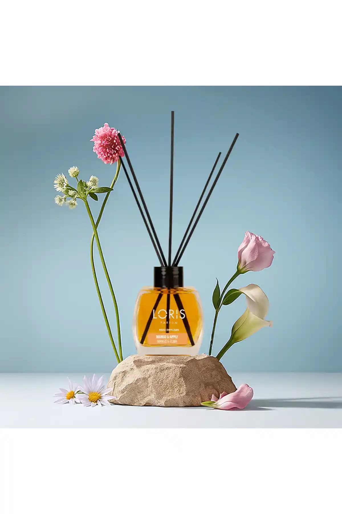 Loris Mango Elma Oda Kokusu: Tropikal Ferahlık ve Şıklığın Buluşması