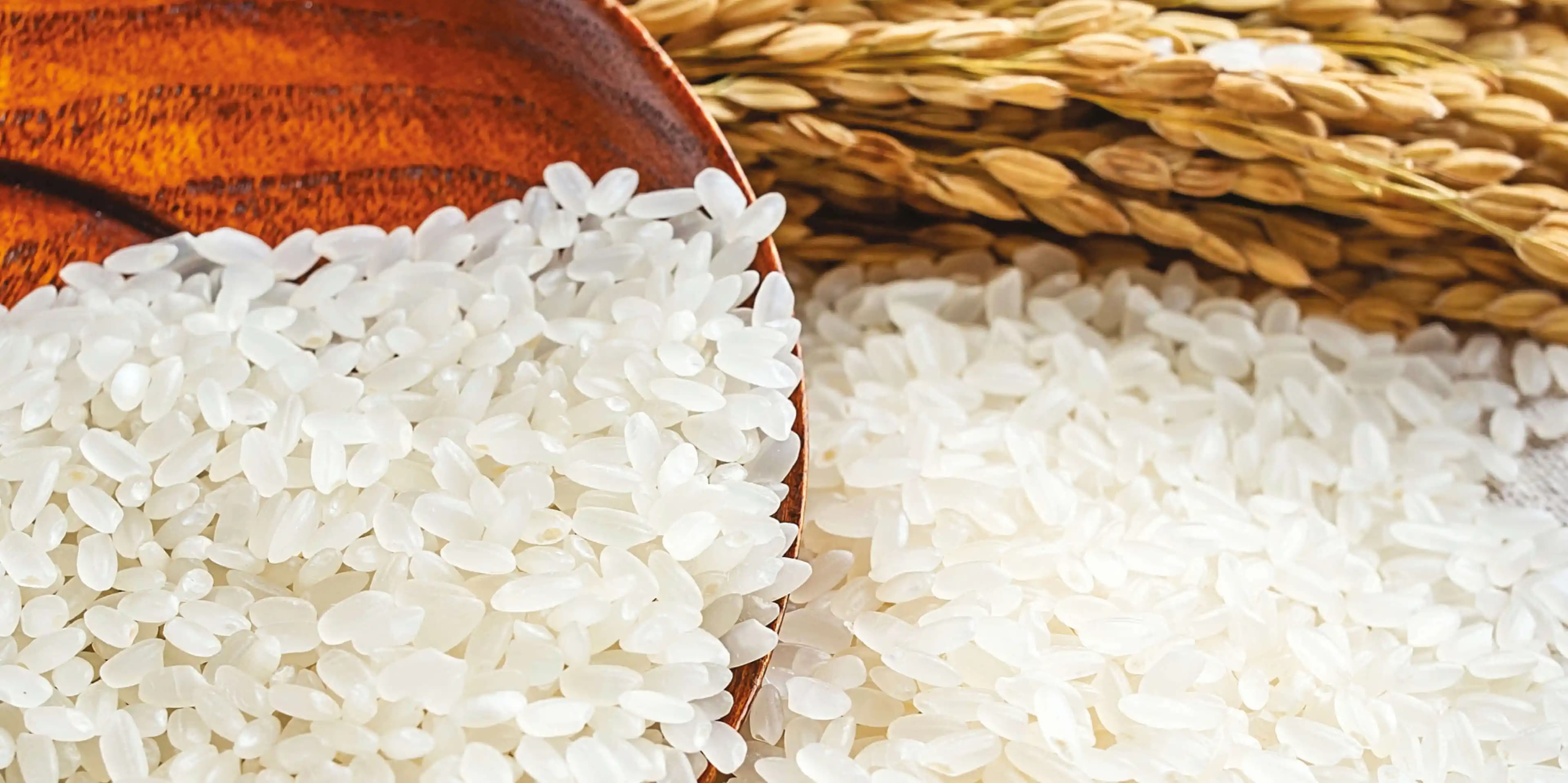 Pirinç ve Fasulye ile Ekonomik ve Besleyici Yemek Hazırlama Yöntemleri ve Tarifleri