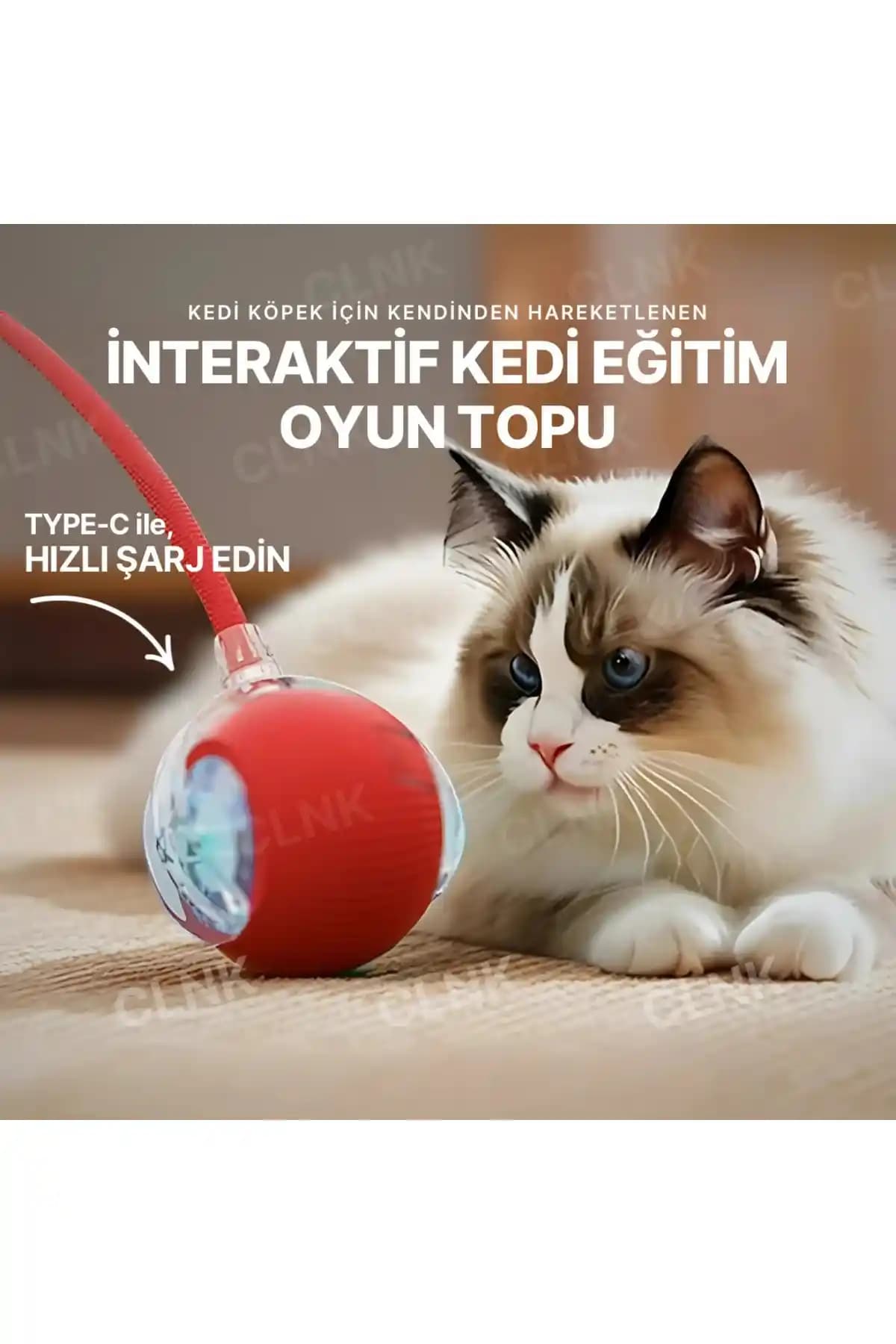 Yıl<dı>zhane’nin Yeni Nesil Işıklı Hareketli Oyun Topu Evcil Hayvanlar İçin